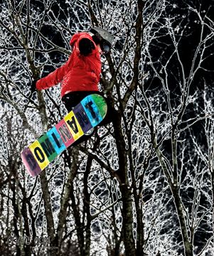 Picture of Ski Big Bear Rail Jam